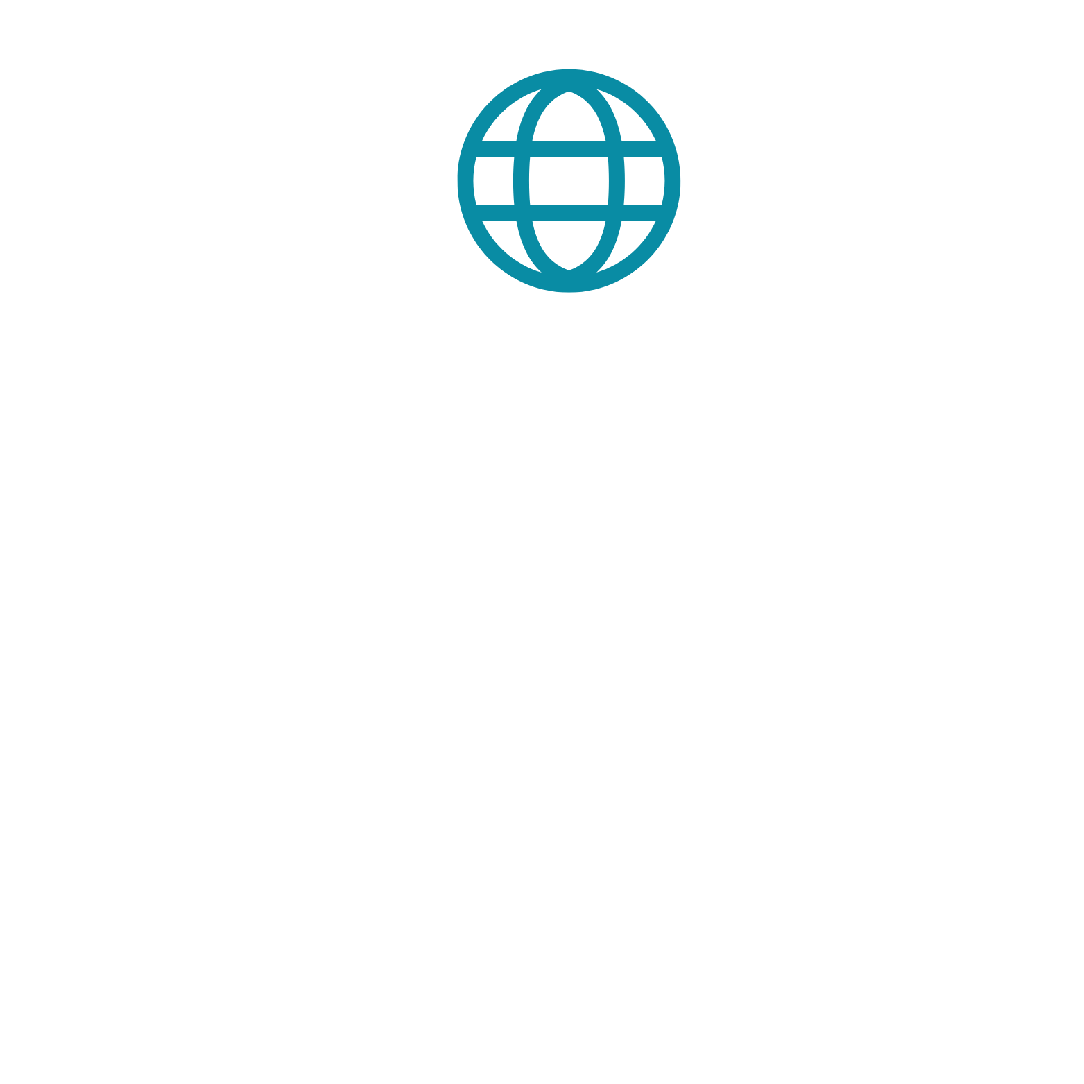 Icon of a globe with grid lines representing global internet or worldwide network.